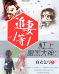 杠上腹黑大神：追妻1等1