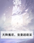 天降魔君,宠妻超萌呆