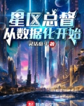 星区总督从数据化开始小说免费
