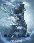 网王：我的黑篮模板