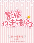 影帝你走错房了txt百度云