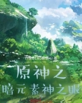 原神之暗元素神之眼