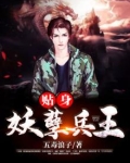 妖孽女总裁的贴身兵王