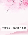 王爷宠王妃小说