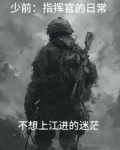 少前指挥官等级上限