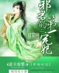 邪君的第一宠妃 小说