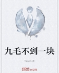 九毛不到一块