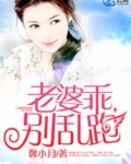 老婆乖,别乱跑小说