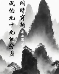 同时穿越:我的九十九个分身