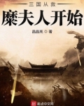 三国从救糜夫人开始百度网盘