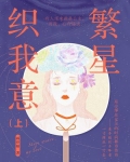 繁星织我意免费阅读结局