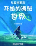 从收容罗宾开始的海贼世界