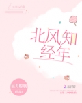 北风知我心下一句