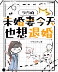 小说未婚夫五加一