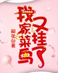 我家菜鸟又挂了