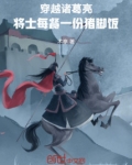 穿越诸葛亮,将士每餐一份猪脚饭免费