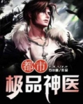 都市极品神医叶辰小说全文免费