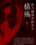 小说权力漩涡