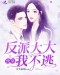 快穿:反派大大别黑化 小说