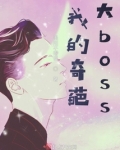 职场爱情类小说女追男