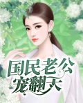 国民男神宠翻天小说免费