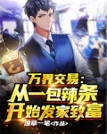 万界交易:从一包辣条开始发家致富 潦草一笔