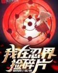 我在忍界捡碎片
