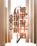 权力巅峰：从提拔前被举报开始