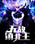 镇北王视频短剧