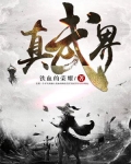 真武界尊 小说