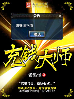 充大师充电器