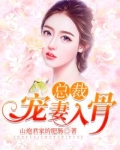 总裁宠妻入骨有声小说