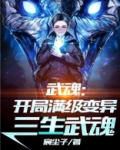 开局武魂是三炮
