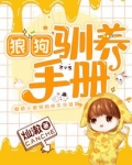 狼狗怎么驯养