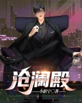 沧澜殿小说