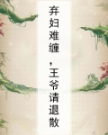 弃妇难缠，王爷请退散