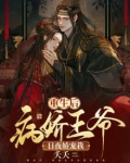 重生后，病娇王爷日夜娇宠我