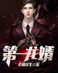 第一龙婿冷枫免费