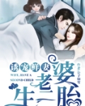 诱宠鲜妻:老婆,生二胎!
