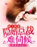 枕上欢宠隐婚总裁难伺候免费阅读