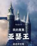 我的舅舅亚瑟王小说