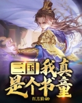 三国:我真是个书童