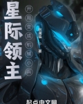 星际领主开局变成机械小兵小说