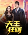 天王狂婿小说下载