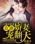 闪婚甜蜜蜜:首席娇妻宠翻天