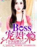 幸孕逼婚:Boss宠妻上瘾