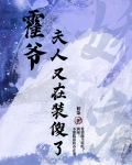 霍爷,夫人又在装傻了小说