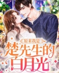 原来我是楚先生的白月光免费阅读