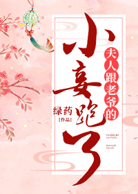 夫人跟老爷的小妾跑了全文免费阅读