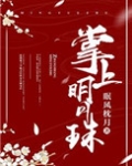 掌上明月珠